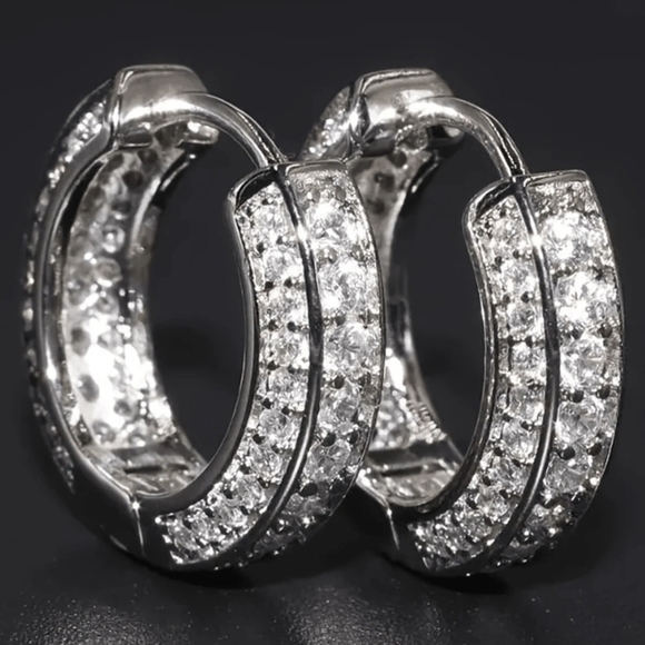 Jewelry - Elegant Silver Hoop Earrings